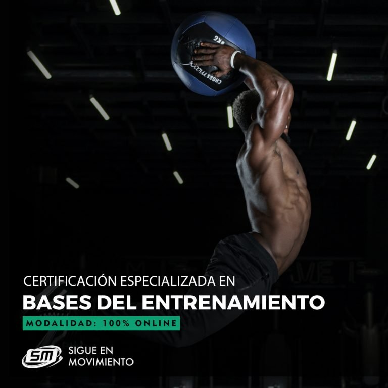 Bases del entrenamiento deportivo