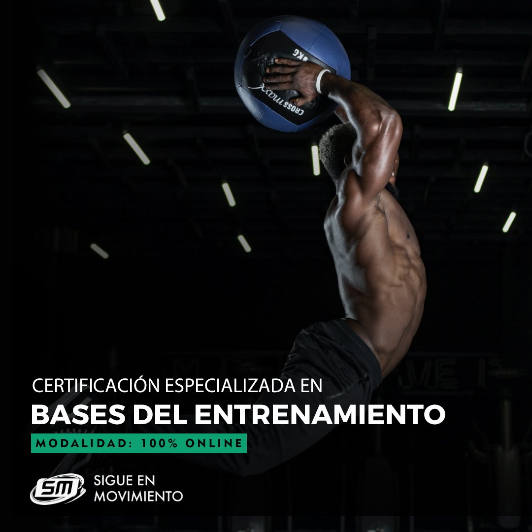 Bases del entrenamiento deportivo